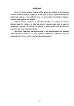 Biznesa plāns 'SIA "LP" biznesa plāns', 13.