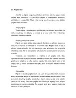 Referāts 'Plaģiāts', 4.