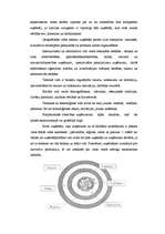 Referāts 'Kādi faktori ietekmē uzņēmējdarbību Latvijā?', 2.