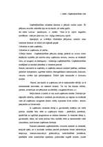 Referāts 'Kādi faktori ietekmē uzņēmējdarbību Latvijā?', 3.