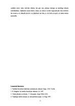 Referāts 'Valsts būtību skaidrojošās teorijas', 11.