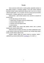 Referāts 'Ražošanas uzņēmumu riski, to analīze un novēršana', 3.