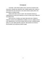 Referāts 'Ražošanas uzņēmumu riski, to analīze un novēršana', 9.