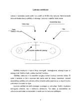 Referāts 'Lakross', 8.