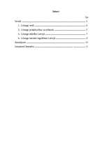 Referāts 'Līzings', 1.