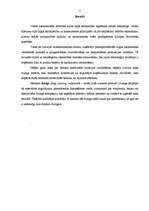 Referāts 'Līzings', 2.