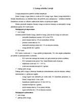 Referāts 'Līzings', 6.