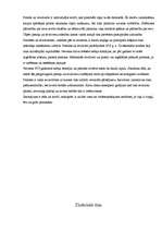 Referāts 'Pistoles un revolveri', 4.