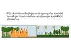 Prezentācija 'Vegetation succession among and within structural layers following wildfire in m', 8.