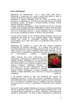 Referāts 'Mārketinga loma uzņēmuma attīstībā', 4.