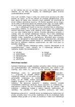 Referāts 'Mārketinga loma uzņēmuma attīstībā', 5.