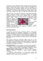 Referāts 'Mārketinga loma uzņēmuma attīstībā', 6.