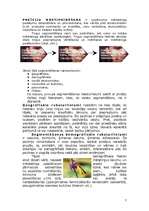 Referāts 'Mārketinga loma uzņēmuma attīstībā', 7.