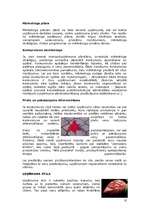 Referāts 'Mārketinga loma uzņēmuma attīstībā', 10.