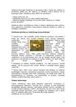 Referāts 'Mārketinga loma uzņēmuma attīstībā', 12.