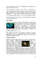 Referāts 'Mārketinga loma uzņēmuma attīstībā', 13.