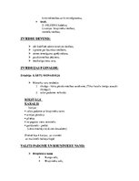 Konspekts 'Latvijas tiesību vēsture. Poļu-ziedru laiki. Zviedru Vidzeme', 3.