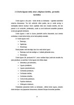 Prakses atskaite 'Prakses atskaite personālvadībā', 21.