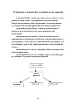 Prakses atskaite 'Prakses atskaite personālvadībā', 28.