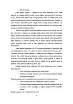 Prakses atskaite 'Prakses atskaite personālvadībā', 39.