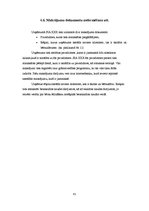 Prakses atskaite 'Prakses atskaite personālvadībā', 42.