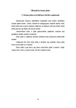 Prakses atskaite 'Prakses atskaite personālvadībā', 44.