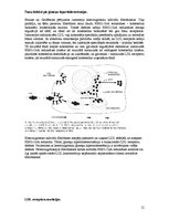 Referāts 'Hiperlipidēmija un aptaukošanās', 12.