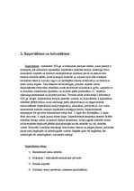 Referāts '19.gadsimta beigas - 20.gadsimta sākums - sociālais progress vai regress', 5.