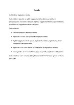 Referāts 'Kopīpašuma tiesības', 3.