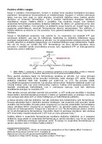 Eseja 'Pastēra efekts raugos', 1.