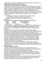 Konspekts 'Pediatrija', 49.