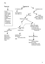 Konspekts 'Pediatrija', 57.