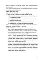 Referāts 'Didaktiskā spēle kā skolēnu intereses veicinātāja matemātikas stundās sākumskolā', 10.