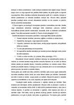 Referāts 'Didaktiskā spēle kā skolēnu intereses veicinātāja matemātikas stundās sākumskolā', 16.