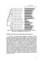 Referāts 'Revealing Leaf Nodules: Symbiosis between Plant Psychotria Kirkii and Bacterium ', 4.