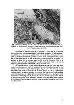 Referāts 'Revealing Leaf Nodules: Symbiosis between Plant Psychotria Kirkii and Bacterium ', 5.