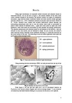 Referāts 'Revealing Leaf Nodules: Symbiosis between Plant Psychotria Kirkii and Bacterium ', 7.