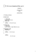 Paraugs 'Unit 7-8 The Courts in England and Wales. (part 2), The Court System of the USA', 1.
