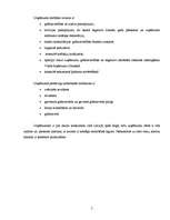 Prakses atskaite 'Mācību prakses atskaite', 5.