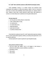 Prakses atskaite 'Mācību prakses atskaite', 6.