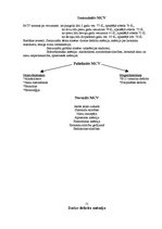 Referāts 'Anēmiju diferenciāldiagnostika bērniem', 5.