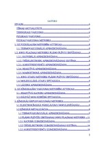 Referāts 'Plāno plēvīšu uzpūtināšanas metodes', 2.