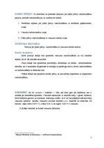 Referāts 'Plāno plēvīšu uzpūtināšanas metodes', 5.