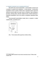 Referāts 'Plāno plēvīšu uzpūtināšanas metodes', 9.
