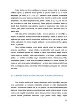 Referāts 'Plāno plēvīšu uzpūtināšanas metodes', 11.