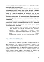 Referāts 'Plāno plēvīšu uzpūtināšanas metodes', 12.