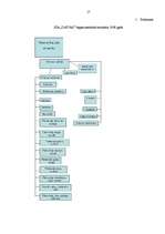 Prakses atskaite 'Uzņēmējdarbības uzsākšana', 17.