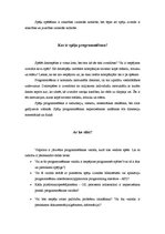 Referāts 'Spēļu programmēšana', 2.