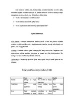 Referāts 'Spēļu programmēšana', 3.