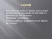 Prezentācija 'Livonija', 5.